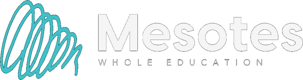 Mesotes Whole Education